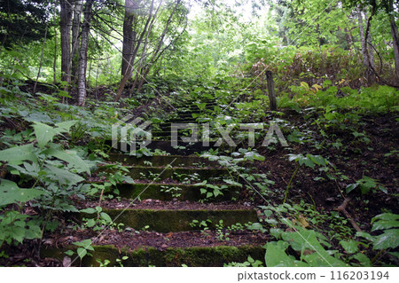 Stone steps Stone steps 116203194