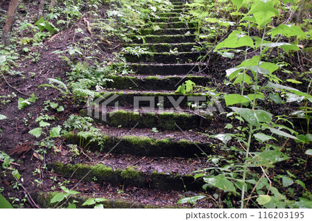 Stone steps Stone steps 116203195