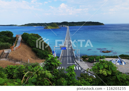 Tsunoshima Bridge 1021+ 116203235