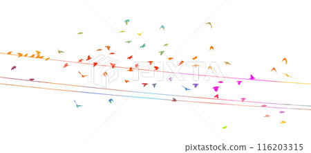 Colorful birds on wires. hand drawing. Not AI, Vector illustration Colorful birds on wires. hand drawing. Not AI, Vector illustration 116203315