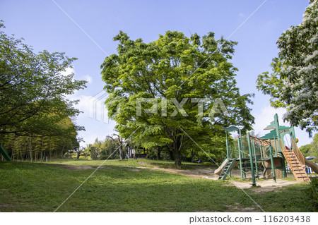貝蒂之家朝日公園 貝蒂之家朝日公園 116203438