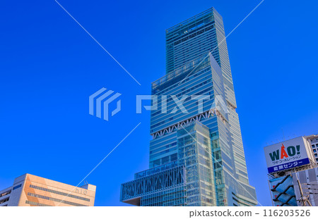 Abeno Harukas as seen from Tennoji Park, Osaka City, Osaka Prefecture Abeno Harukas as seen from Tennoji Park, Osaka City, Osaka Prefecture 116203526