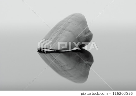 Detalised close-up photo of microstructure on raw zirkonium tooth on light grey background. 116203556