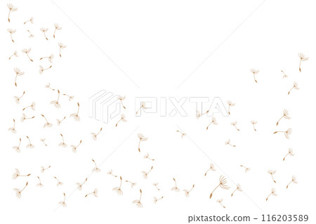 Dandelion Logo, Vector Plant Dandelion flower, Design Icon Template Dandelion Logo, Vector Plant Dandelion flower, Design Icon Template 116203589