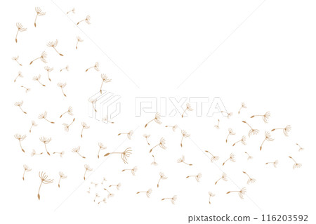 Dandelion Logo, Vector Plant Dandelion flower, Design Icon Template Dandelion Logo, Vector Plant Dandelion flower, Design Icon Template 116203592