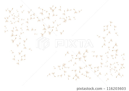 Dandelion Logo, Vector Plant Dandelion flower, Design Icon Template Dandelion Logo, Vector Plant Dandelion flower, Design Icon Template 116203603