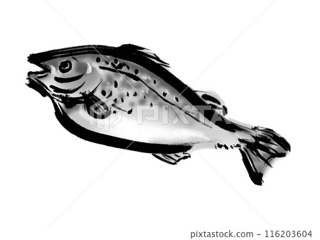 Hand-drawn Japanese-style brush illustration material of cod fish 116203604