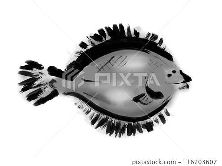 手寫日式毛筆插畫素材魚比目魚 116203607