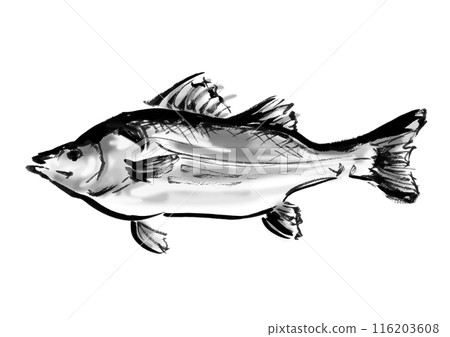 Hand-drawn Japanese-style brush illustration material of fish 116203608
