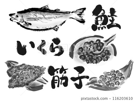 Salmon, salmon roe and sujiko hand-drawn Japanese-style brush illustration material 116203610