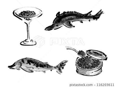 蝴蝶鯊和魚子醬手寫日式毛筆插畫素材 蝴蝶鯊和魚子醬手寫日式毛筆插畫素材 116203611