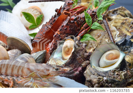 A luxurious plate of fresh seafood 116203785
