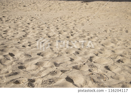 總江沙丘 總江沙丘 116204117