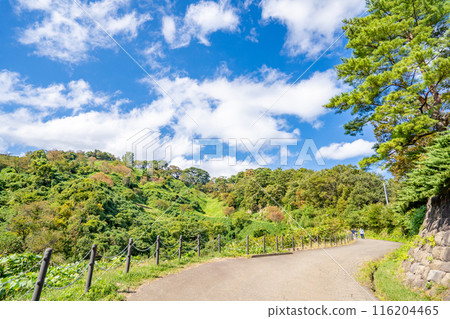 Kasugayama Castle ruins: The castle of Uesugi Kenshin, a famous general from the Warring States period. The sturdy fortress of Kasugayama Castle makes clever use of the natural terrain. 116204465