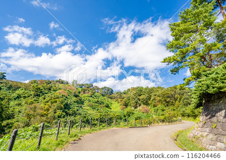 Kasugayama Castle ruins: The castle of Uesugi Kenshin, a famous general from the Warring States period. The sturdy fortress of Kasugayama Castle makes clever use of the natural terrain. 116204466
