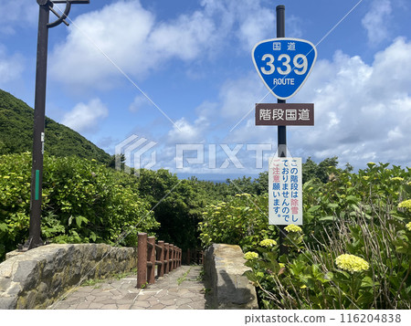 Staircase National Route 339 116204838