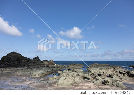 Senjojiki Beach, Aomori Prefecture 116204842