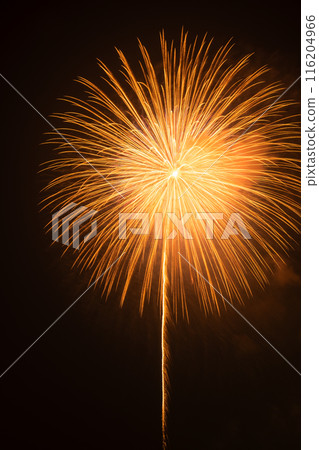 A one-foot-tall fireworks display that draws a beautiful parabola in the color orange at the fireworks festival A one-foot-tall fireworks display that draws a beautiful parabola in the color orange at the fireworks festival 116204966