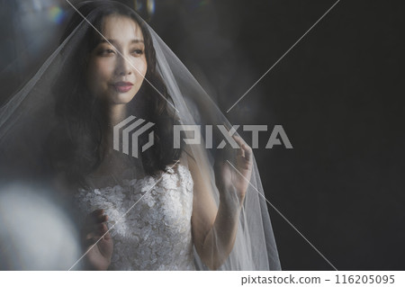 Woman in wedding dress 116205095