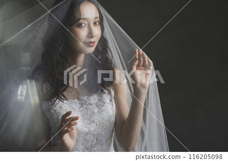 Woman in wedding dress Woman in wedding dress 116205098