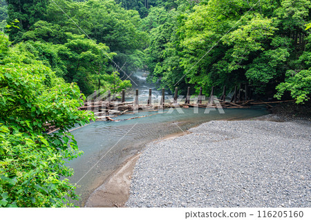 Scenery from upstream of the Kamo River, Kyoto 116205160
