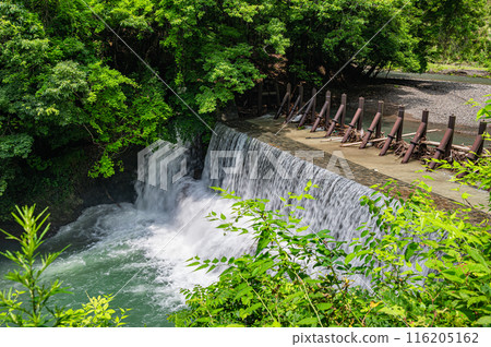 Scenery from upstream of the Kamo River in Kyoto: Water flowing down a weir 116205162