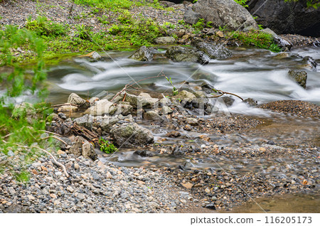 Scenery of the upstream of the Kamo River in Kyoto, where it joins the Kurama River 116205173