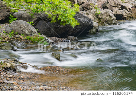 京都鴨川上游風景、鞍馬川交會處 116205174