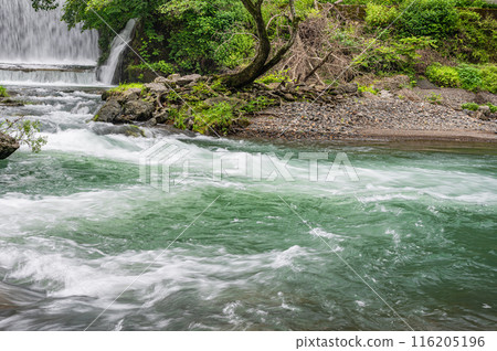 Scenery of the upstream of the Kamo River in Kyoto, where it joins the Kurama River 116205196