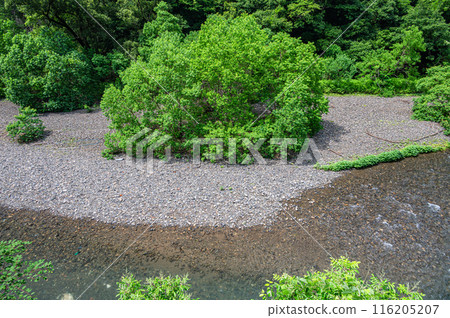 The clear waters of Kurama River, north of Kyoto 116205207