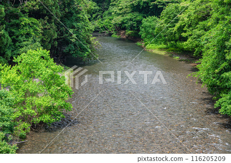 The clear waters of Kurama River, north of Kyoto 116205209