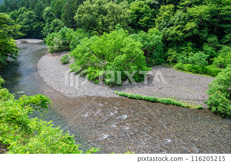 The clear waters of Kurama River, north of Kyoto 116205215