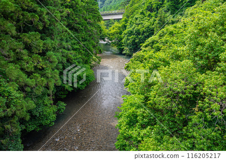 京都洛北清澈的鞍馬川 116205217