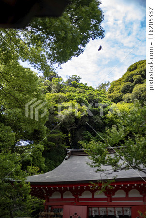 鎌倉246江良天神社2 鎌倉246江良天神社2 116205337