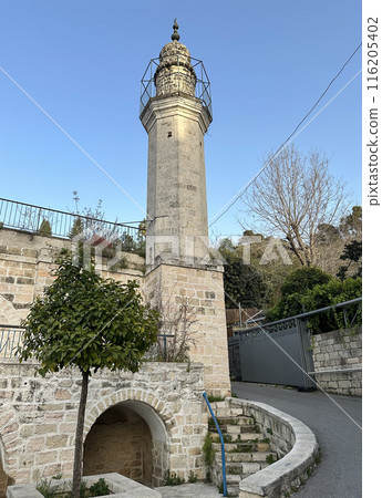 Mary's Spring in Ein Karem 116205402