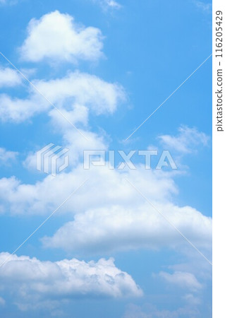 夏日藍天白雲1 116205429