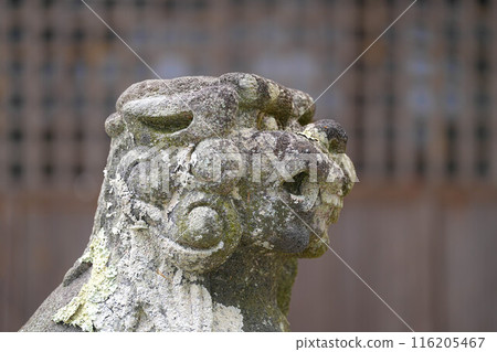 熊野神社 熊野神社 116205467