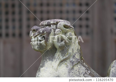 熊野神社 116205470