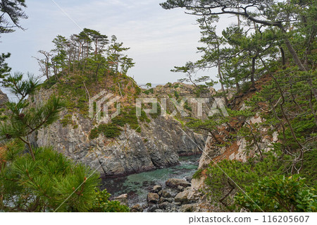 Goiseki coast 116205607