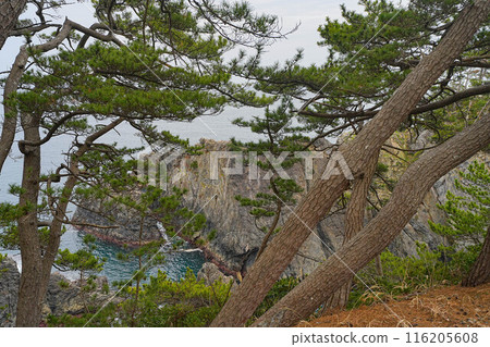 Goiseki coast 116205608