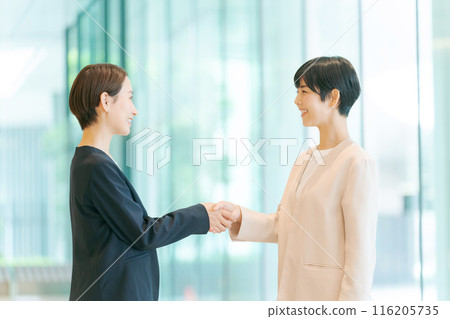 Smiling businesswoman shaking hands 116205735