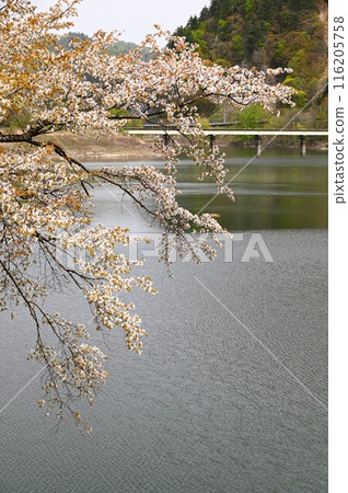 Spring in Yuda Spring in Yuda 116205758