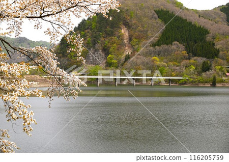 Spring in Yuda Spring in Yuda 116205759
