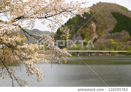 Spring in Yuda 116205763