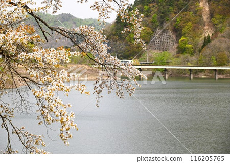 Spring in Yuda Spring in Yuda 116205765