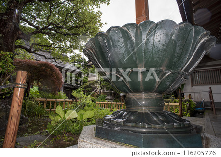 Kamakura 246 Jojuin Temple 4 Rainy Day 116205776