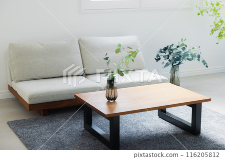 Bright living room 116205812