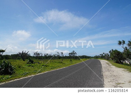 萬那杜風景埃法特島 萬那杜風景埃法特島 116205814
