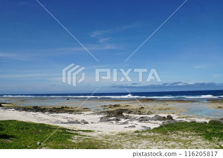 The sea of Efate Island, Vanuatu 116205817