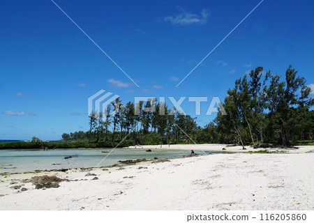 萬那杜伊頓海灘 116205860